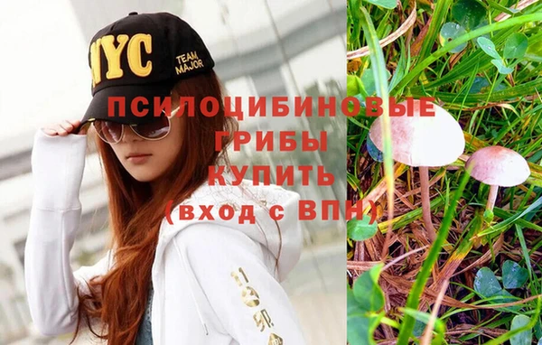 первитин Абинск